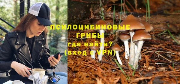 гидра Алексин