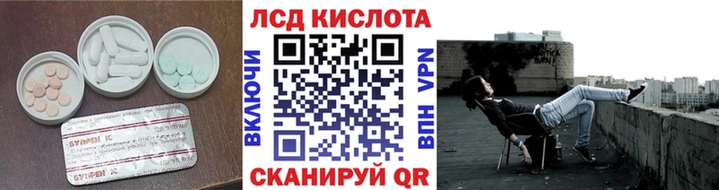 где найти наркотики  это телеграм  LSD-25 экстази кислота  Каргат 